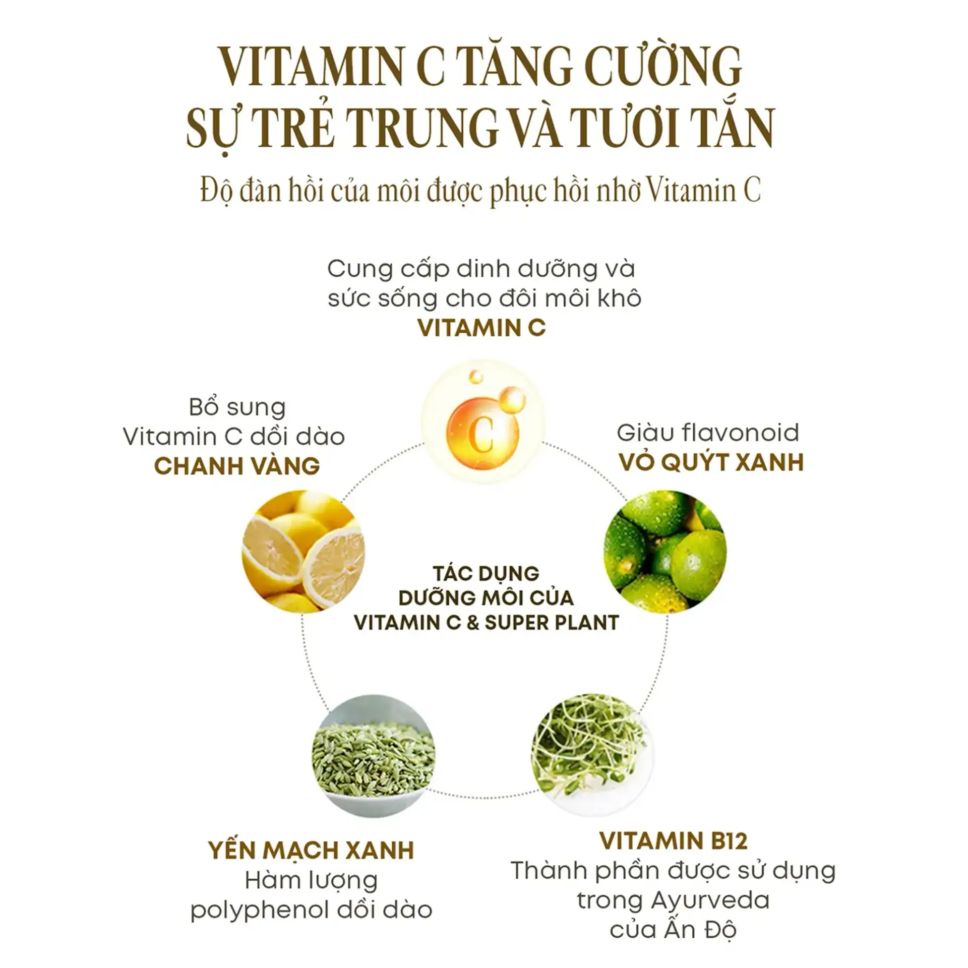 Son Dưỡng Freshian Thuần Chay Mềm Môi Vita Ampoule Lipcerin Vegan 15ml